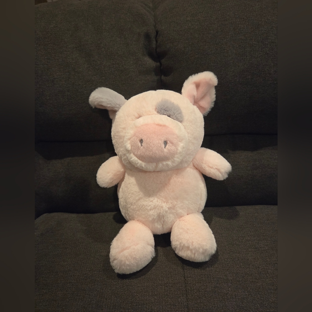 Aurora Stubez 11" Smarty Pig Stuffed Animal